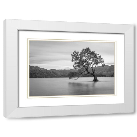 Iconic Lake Tree White Modern Wood Framed Art Print with Double Matting by Anon