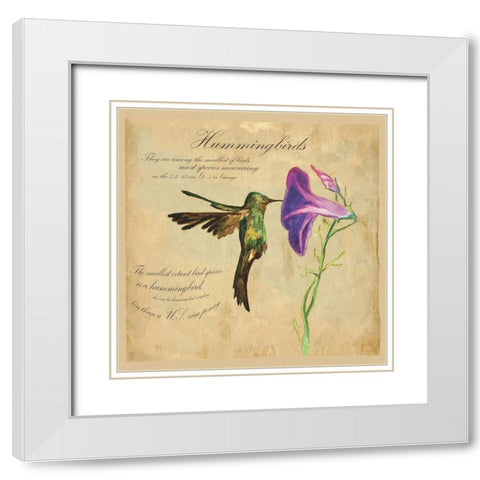Hummingbird Illustration White Modern Wood Framed Art Print with Double Matting by Kuco
