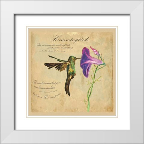 Hummingbird Illustration White Modern Wood Framed Art Print with Double Matting by Kuco