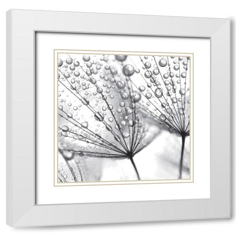 Delicate Wisps II White Modern Wood Framed Art Print with Double Matting by Anonymous