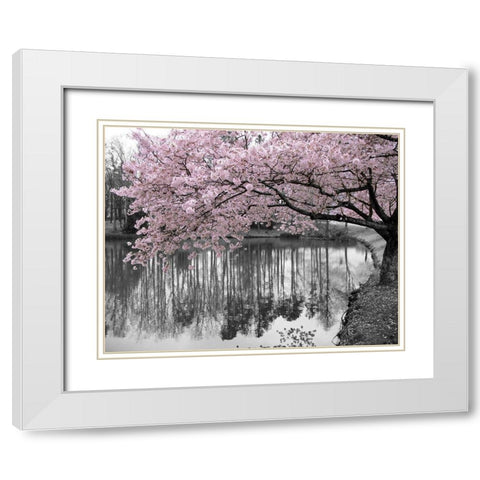 Violet Reflections II White Modern Wood Framed Art Print with Double Matting by Anonymous