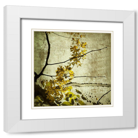 Yellow Kerala Blossoms White Modern Wood Framed Art Print with Double Matting by Anonymous