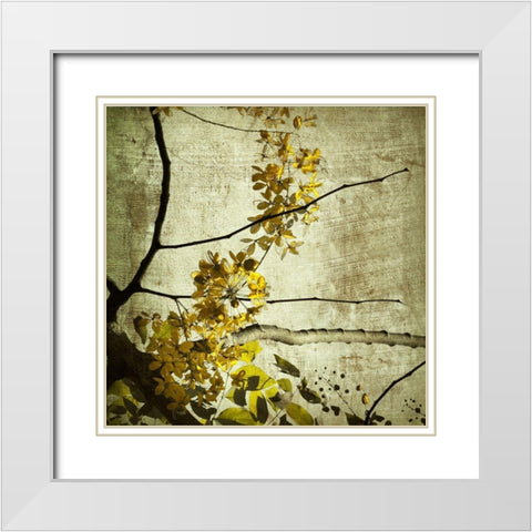 Yellow Kerala Blossoms White Modern Wood Framed Art Print with Double Matting by Anonymous