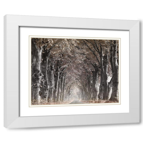 Down The Country Road White Modern Wood Framed Art Print with Double Matting by Anonymous
