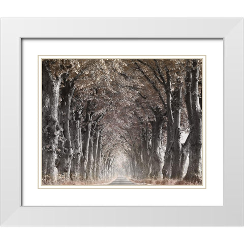 Down The Country Road White Modern Wood Framed Art Print with Double Matting by Anonymous
