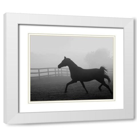 Morning Pasture II White Modern Wood Framed Art Print with Double Matting by Anonymous