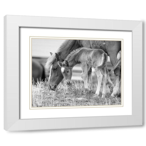 Like Mother, Like Son White Modern Wood Framed Art Print with Double Matting by Turek, Eve