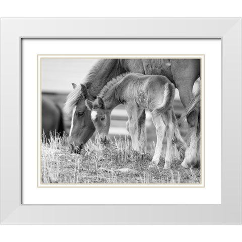 Like Mother, Like Son White Modern Wood Framed Art Print with Double Matting by Turek, Eve