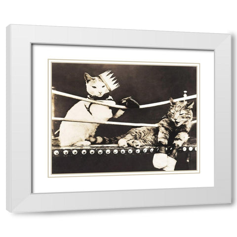 Catfight White Modern Wood Framed Art Print with Double Matting by Anonymous