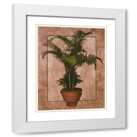 Potted Palm II White Modern Wood Framed Art Print with Double Matting by Unknown