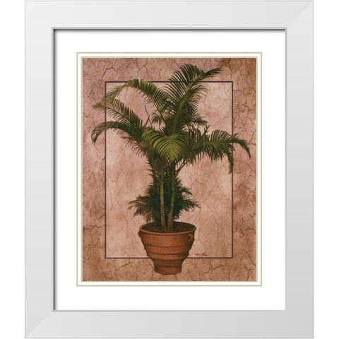 Potted Palm II White Modern Wood Framed Art Print with Double Matting by Unknown