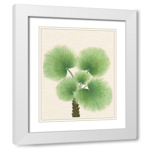 Palm Fronds White Modern Wood Framed Art Print with Double Matting by Unknown