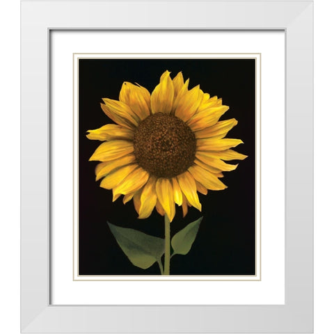 Sunflower I White Modern Wood Framed Art Print with Double Matting by Unknown