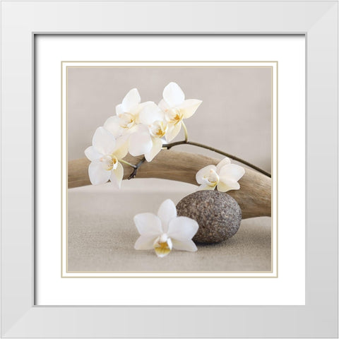 White orchid White Modern Wood Framed Art Print with Double Matting by Chatelain, Sonia