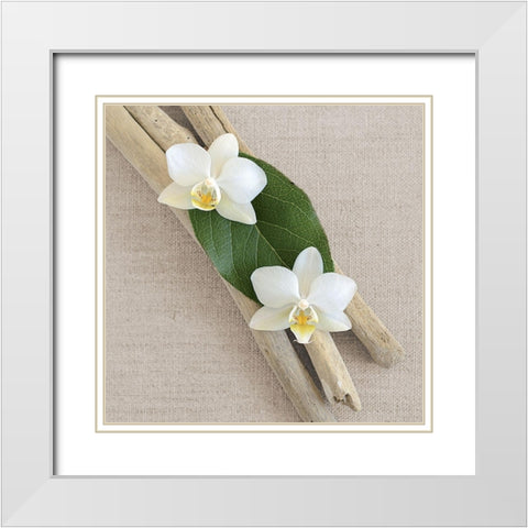 Orchid and Wood White Modern Wood Framed Art Print with Double Matting by Chatelain, Sonia