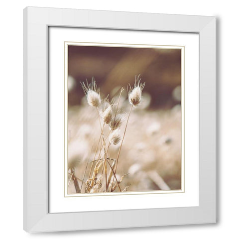 Herbes des Champs 1 White Modern Wood Framed Art Print with Double Matting by BRAUN Studio