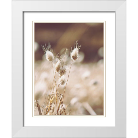 Herbes des Champs 1 White Modern Wood Framed Art Print with Double Matting by BRAUN Studio