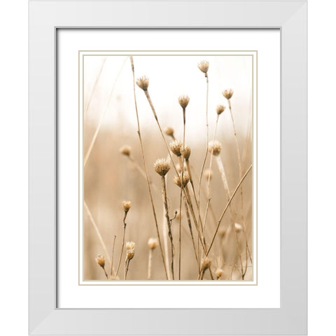 Herbes des Champs 2 White Modern Wood Framed Art Print with Double Matting by BRAUN Studio