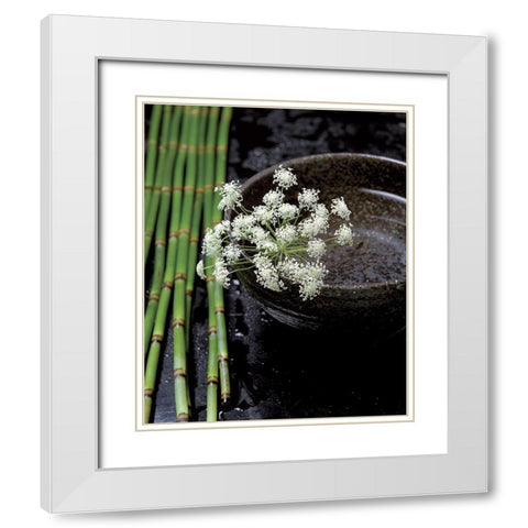 Printemps de bambous White Modern Wood Framed Art Print with Double Matting by Photographie Collection