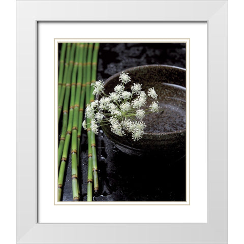 Printemps de bambous White Modern Wood Framed Art Print with Double Matting by Photographie Collection