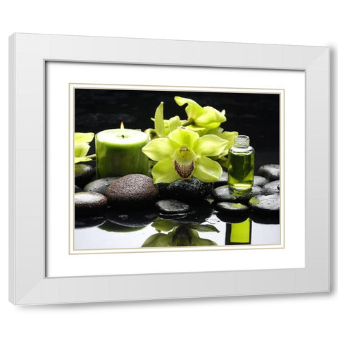 Aromathérapy White Modern Wood Framed Art Print with Double Matting by Braun Studio