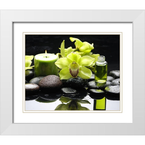 Aromathérapy White Modern Wood Framed Art Print with Double Matting by Braun Studio