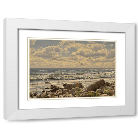 Sea, Etude of Stones White Modern Wood Framed Art Print with Double Matting by Adamov, Alexey