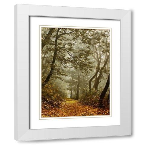 The Fog in Wood II White Modern Wood Framed Art Print with Double Matting by Adamov, Alexey