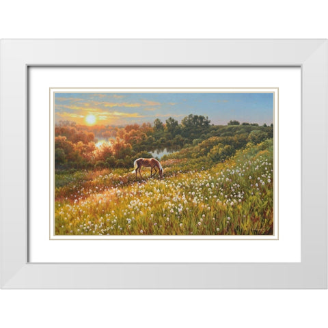 Horse by Sunrise White Modern Wood Framed Art Print with Double Matting by Adamov, Alexey