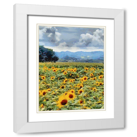 Sunflower Field White Modern Wood Framed Art Print with Double Matting by Medeiros, Celito
