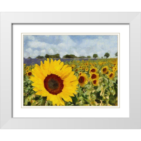 Sunflower Field White Modern Wood Framed Art Print with Double Matting by Medeiros, Celito