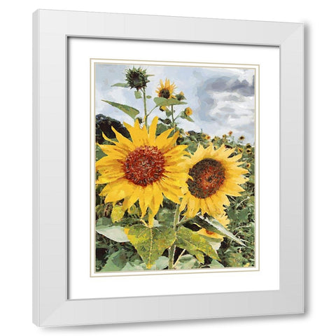 Sunflowers Collection I White Modern Wood Framed Art Print with Double Matting by Medeiros, Celito