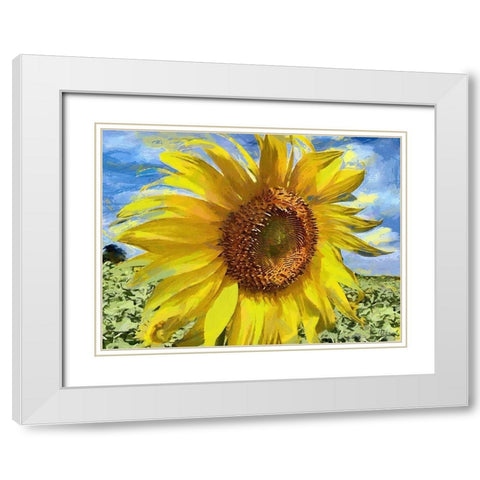 An Sunflowers White Modern Wood Framed Art Print with Double Matting by Medeiros, Celito