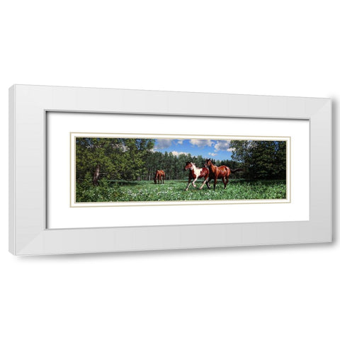In the Summer White Modern Wood Framed Art Print with Double Matting by Adamov, Alexey