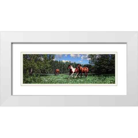 In the Summer White Modern Wood Framed Art Print with Double Matting by Adamov, Alexey
