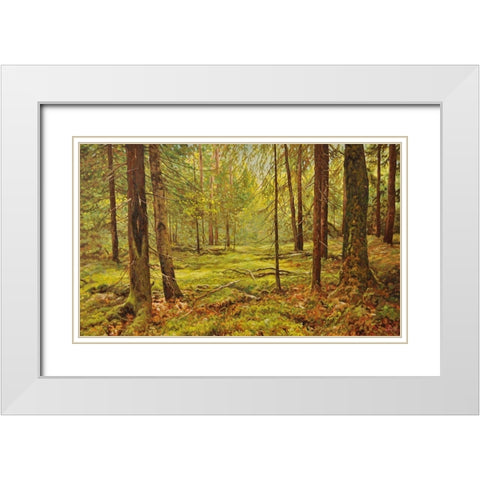 In the Wood White Modern Wood Framed Art Print with Double Matting by Adamov, Alexey