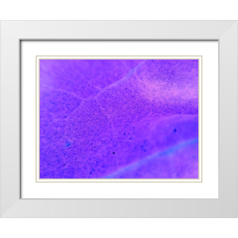 Energy Connection II White Modern Wood Framed Art Print with Double Matting by Grayscale