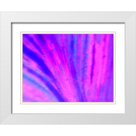 Energy Connection IV White Modern Wood Framed Art Print with Double Matting by Grayscale