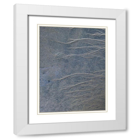 Sand Fibers I White Modern Wood Framed Art Print with Double Matting by Grayscale