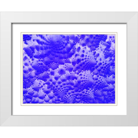 Fractal Clouds I White Modern Wood Framed Art Print with Double Matting by Grayscale