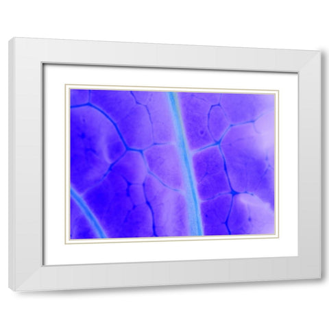 Turquoise Ridge I White Modern Wood Framed Art Print with Double Matting by Grayscale