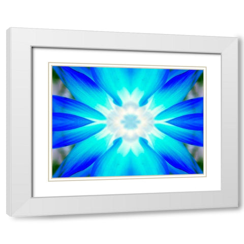 Flower Medallion V White Modern Wood Framed Art Print with Double Matting by Grayscale