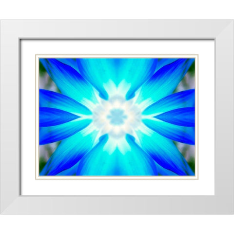 Flower Medallion V White Modern Wood Framed Art Print with Double Matting by Grayscale