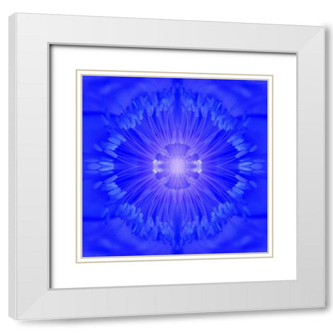 Flower Medallion I White Modern Wood Framed Art Print with Double Matting by Grayscale