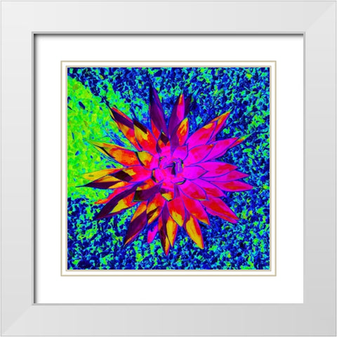 Aloe Burst I White Modern Wood Framed Art Print with Double Matting by Grayscale