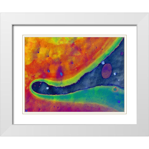 Bio Rainbow I White Modern Wood Framed Art Print with Double Matting by Grayscale