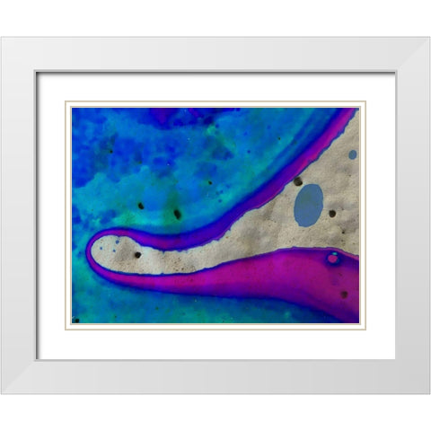 Bio Rainbow Ib White Modern Wood Framed Art Print with Double Matting by Grayscale