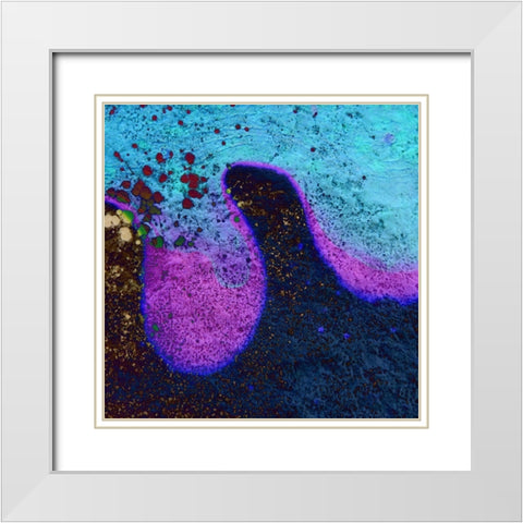 Bio Rainbow IIIb White Modern Wood Framed Art Print with Double Matting by Grayscale