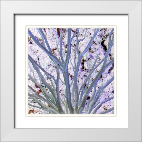 Space Canopy I White Modern Wood Framed Art Print with Double Matting by Grayscale