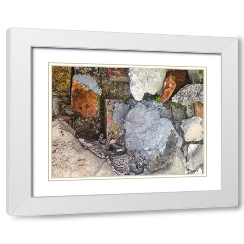 Old Brick Wall I White Modern Wood Framed Art Print with Double Matting by Grayscale